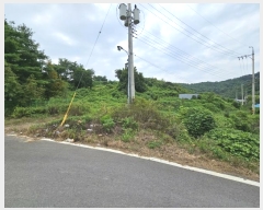  2023Ÿ40753     83-26      (Ӿ)