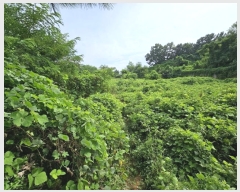  2023Ÿ40753     83-26      (Ӿ)