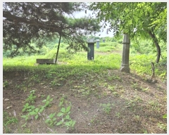  2023Ÿ40753     83-26      (Ӿ)