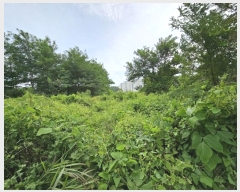  2023Ÿ40753     83-26      (Ӿ)