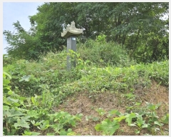  2023Ÿ40753     83-26      (Ӿ)