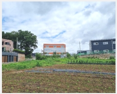  2023Ÿ��3297  ���ð��