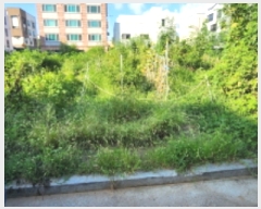  2023Ÿ��4252 ��� ������ ������ ���۸� 541-4      ��������