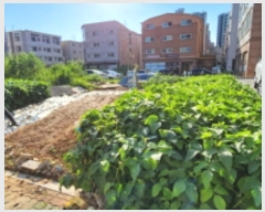  2023Ÿ��4252 ��� ������ ������ ���۸� 541-4      ��������