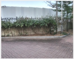  2023Ÿ��49743 ��� ������ ��쵿 316-2       ����(����)���