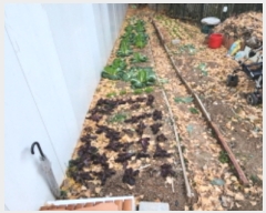  2023Ÿ��49743 ��� ������ ��쵿 316-2       ����(����)���