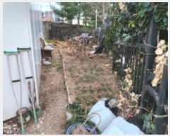  2023Ÿ��49743 ��� ������ ��쵿 316-2       ����(����)���