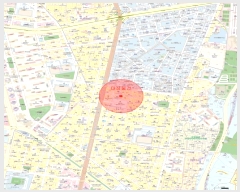  2023Ÿ43325  ټ()