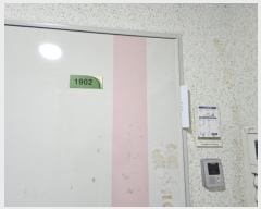  2023Ÿ12455  ν  ǳõ 76, 907 191902ȣ (ǳõ,μ9)   Ʈ