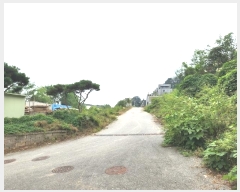  2023Ÿ70154  ν óα  480-45      (Ӿ)