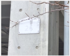  2023Ÿ13434   ȴޱ Ǳ207 26, 6603ȣ (ΰ赿,Ȩ)    Ȱð