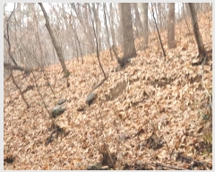  2023Ÿ��2991 ��� ����� �ȵ� 543       �������