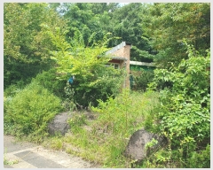  2023Ÿ��72440 ��� ���ν� ó�α� ������ 127      ����(��)���