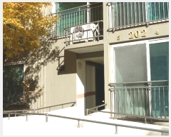  2023Ÿ��83211  ����Ʈ���