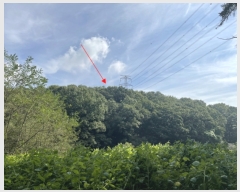  2023Ÿ��75425  �Ӿ߰��