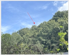  2023Ÿ��75425  �Ӿ߰��