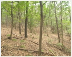  2023Ÿ��75425  �Ӿ߰��