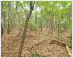  2023Ÿ��75425  �Ӿ߰��