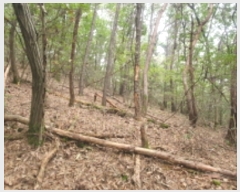  2023Ÿ��75425  �Ӿ߰��