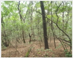  2023Ÿ��75425  �Ӿ߰��