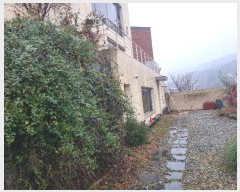  2023Ÿ��11186 ��� ���ν� ������ ���⵿ 506-3      ���ð��