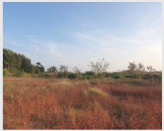  2023Ÿ76343  ȭ ȸ  46-28      ()