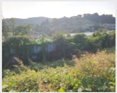  2023Ÿ76343  ȭ ȸ  46-28      ()