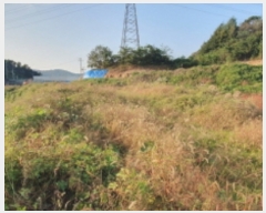  2023Ÿ76343  ȭ ȸ  46-28      ()