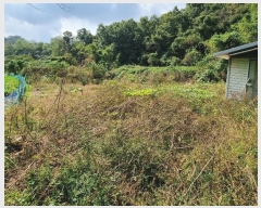  2023Ÿ78868  ȭ  縮 1026      (1)