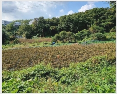  2023Ÿ78868  ȭ  縮 1026      (1)