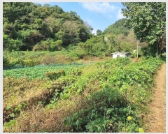  2023Ÿ78868  ȭ  縮 1026      (1)