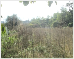  2023Ÿ78868  ȭ  縮 1026      (1)