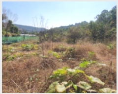  2023Ÿ78868  ȭ  縮 1026      (1)