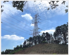  2023Ÿ7620  ν óα ﰡ 286-6      (Ӿ)