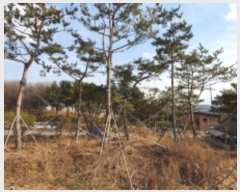  2023Ÿ��52576  ���ð��