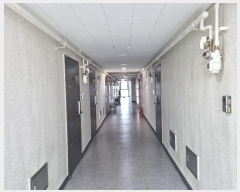  2023Ÿ��78257 ��� ������ �ȴޱ� ���Ż��76���� 10, 1�� 13��1309ȣ (���,��ü��Ÿ)   ��������Ȱ���ð��