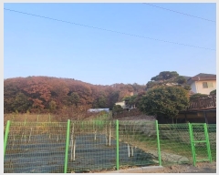  2023Ÿ��10367  �Ӿ߰��