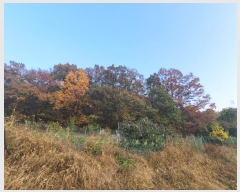  2023Ÿ��10367  �Ӿ߰��