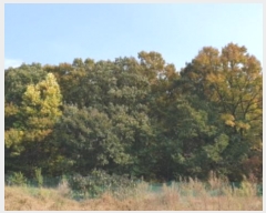  2023Ÿ��10367  �Ӿ߰��