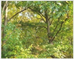  2023Ÿ��10367  �Ӿ߰��