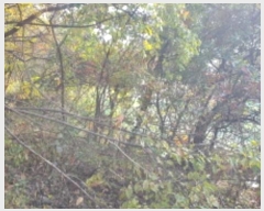  2023Ÿ��10367  �Ӿ߰��