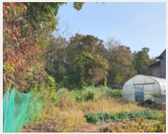  2023Ÿ��10367  �Ӿ߰��