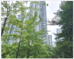  2023Ÿ��6719 ��� ȭ���� ��Ÿ�������� 6, 310�� 1��102ȣ (�ݼ۵�,�ù����������Ｚ���̾�)    ����Ʈ���