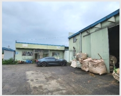  2023Ÿ��65244 ��� ȭ���� ������ ���⸮ 431      ������