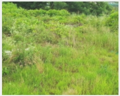  2023Ÿ��66469 ��� ȭ���� �ۻ�� ������ 604-2      ����(��)���