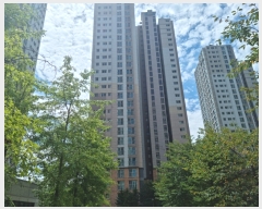  2023Ÿ8661   뱸  156, 4003 212103ȣ (ϵ,40)   Ʈ