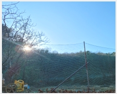  2023Ÿ��52699 ��� ������ ��ȱ� �̸� ��10-1      ����(�Ӿ�)���