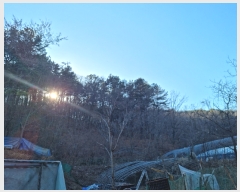  2023Ÿ��52699 ��� ������ ��ȱ� �̸� ��10-1      ����(�Ӿ�)���