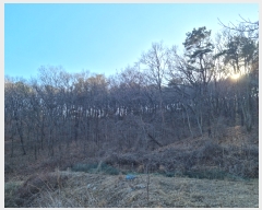  2023Ÿ��52699 ��� ������ ��ȱ� �̸� ��10-1      ����(�Ӿ�)���