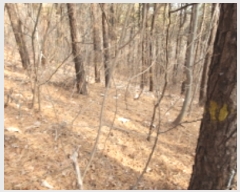  2023Ÿ��52699 ��� ������ ��ȱ� �̸� ��10-1      ����(�Ӿ�)���